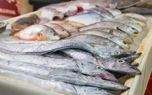 水產(chǎn)品藥物殘留檢測儀 水產(chǎn)品藥物殘留檢測儀