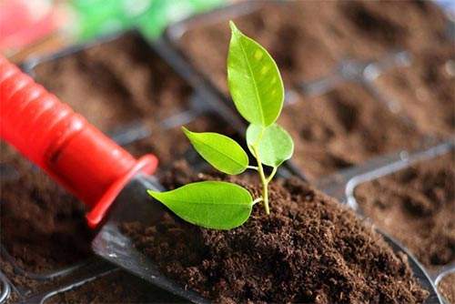 便攜式土壤養(yǎng)分速測儀改良土壤施肥工作 便攜式土壤養(yǎng)分速測儀改良土壤施肥工作