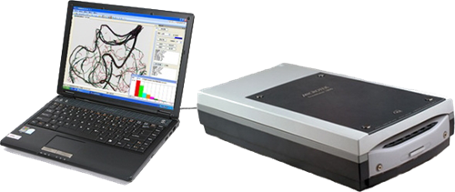 植物根系分析系統(tǒng) 植物根系分析系統(tǒng)